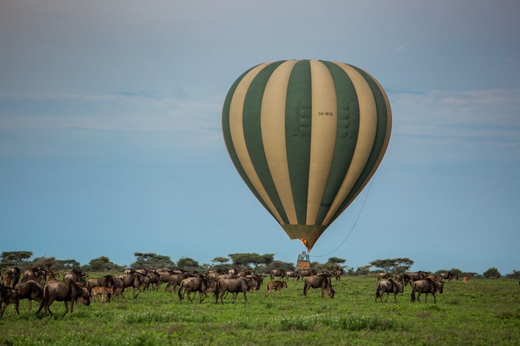 Why Visit Tanzania: A Journey into Africa’s Heart