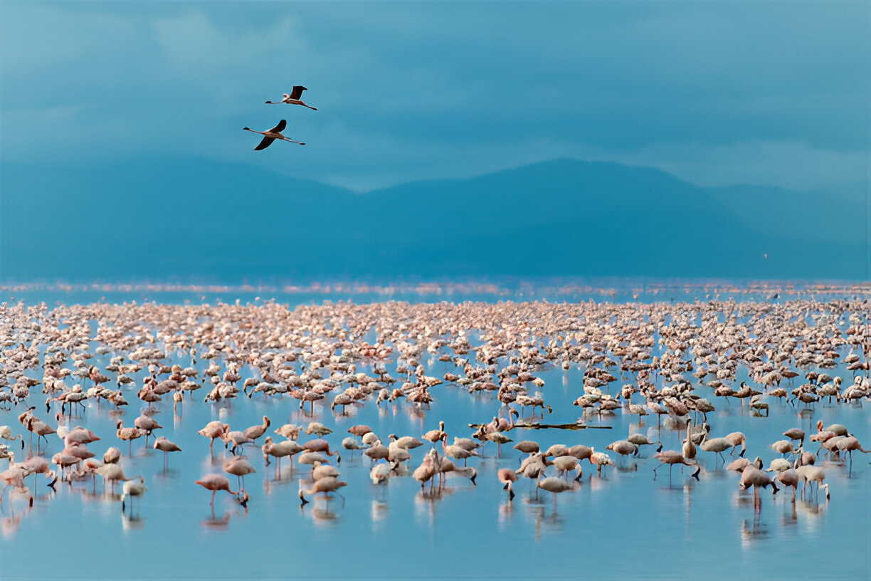 lake manyara national park